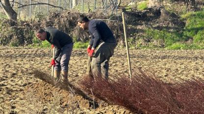 Kurulan her meyve bahçesinde "Cerrah" imzası var
