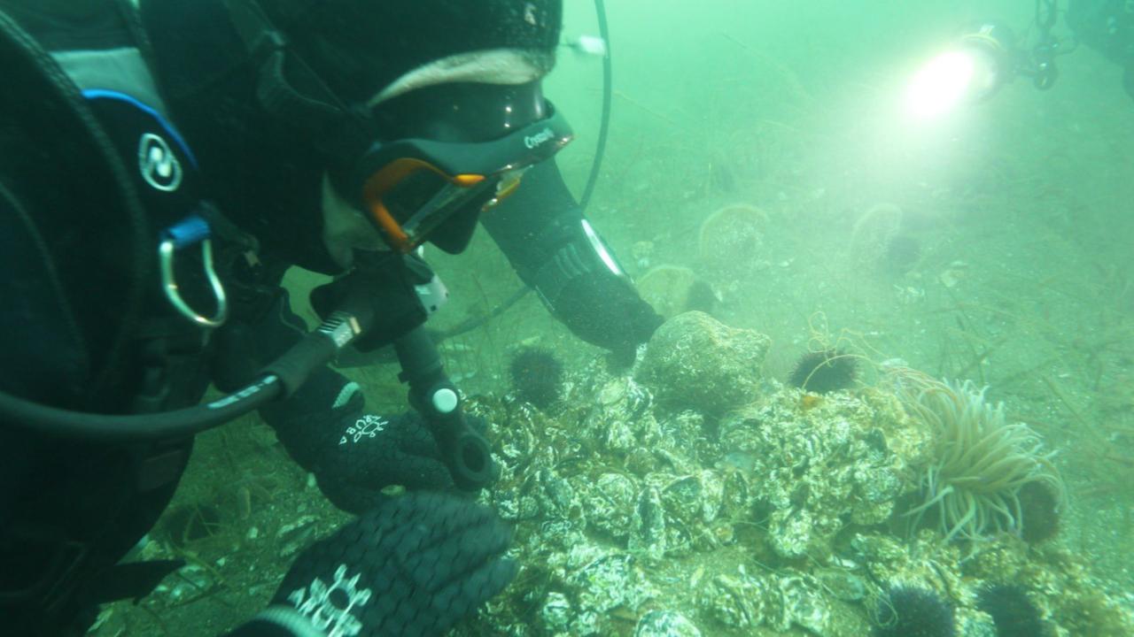 Marmara Denizi'ne kıyı kentlerin Belediye Başkanlarına çağrı