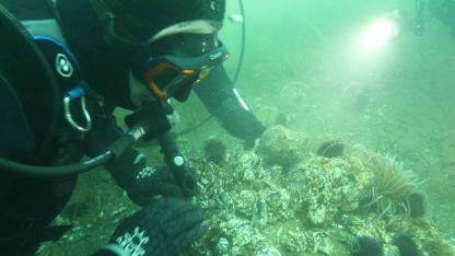 Marmara Denizi'ne kıyı kentlerin Belediye Başkanlarına çağrı