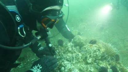 Marmara Denizi'ne kıyı kentlerin Belediye Başkanlarına çağrı