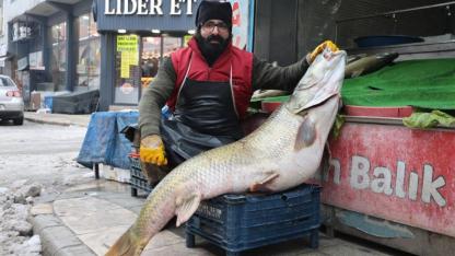 Nehirde balık değil servet yakaladılar