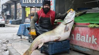 Nehirde balık değil servet yakaladılar