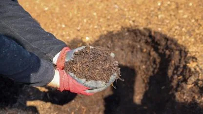 Pazardan parklardan toplayıp 10 bin ton kompost ürettiler