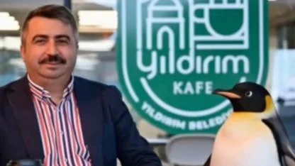 Penguen sürüden ayrılırken belediyeler boş durmadı