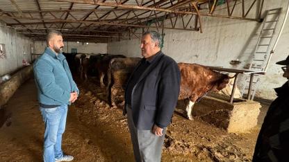 Şapla mücadele eden süt inekçisi yaşadıklarını anlattı