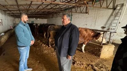 Şapla mücadele eden süt inekçisi yaşadıklarını anlattı