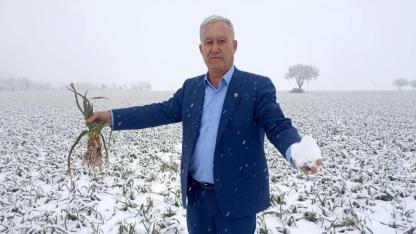 Sarımsakta kar sevinci