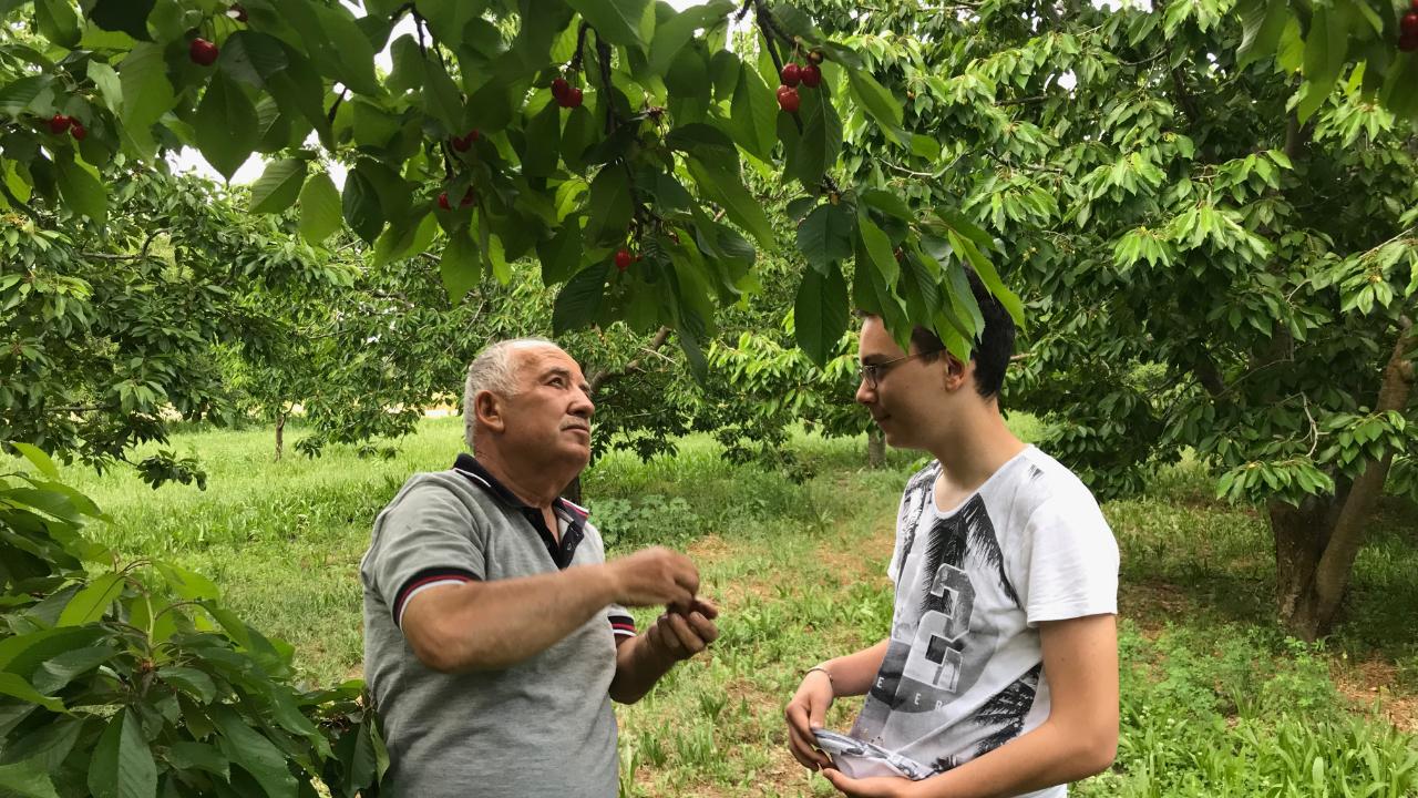 TÜRKYED: Binlercesine ihtiyaç varken binlercesi işsiz