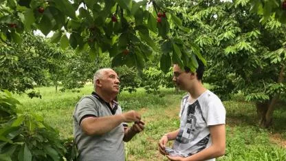 TÜRKYED: Binlercesine ihtiyaç varken binlercesi işsiz