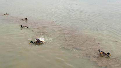 "Ava gidenler avlandı" 428 bin lira ceza yedi