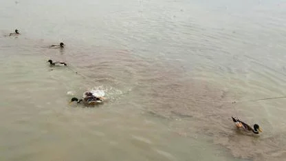 "Ava gidenler avlandı" 428 bin lira ceza yedi