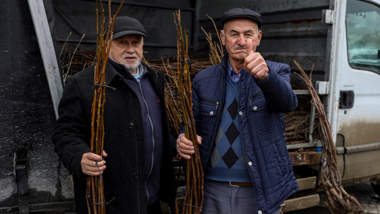 Bursa Büyükşehir'den çiftçilere tohum ve fidan desteği
