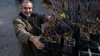 Bursa Büyükşehir'den dağ yöresine fide ve fidan desteği