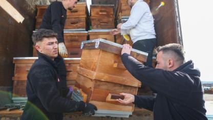 Bursa Büyükşehir'in kovan desteği sürüyor