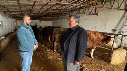 CHP'li Gürer'den TÜİK'in hayvan sayılarına tepki