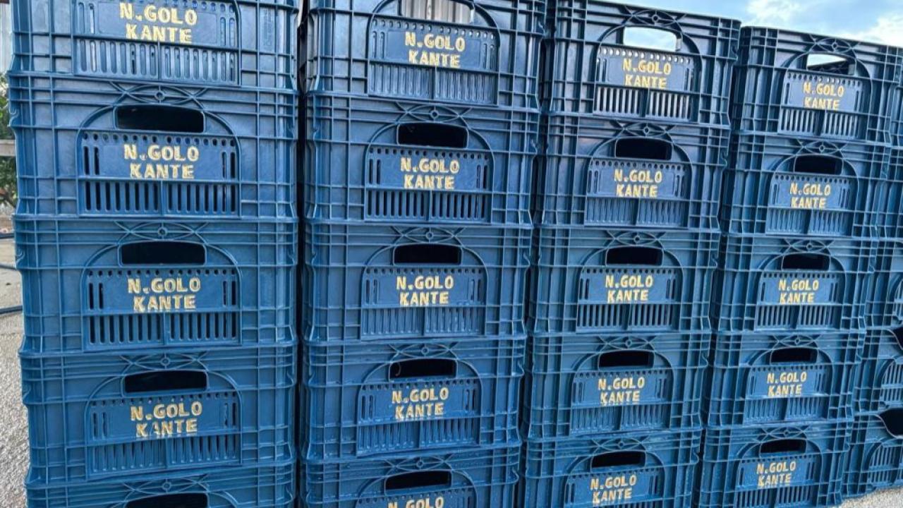 Çiftçinin N'Golo Kante hayranlığı domates kasalarına yansıdı