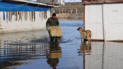 Kangal köpekleri de su altında kaldı