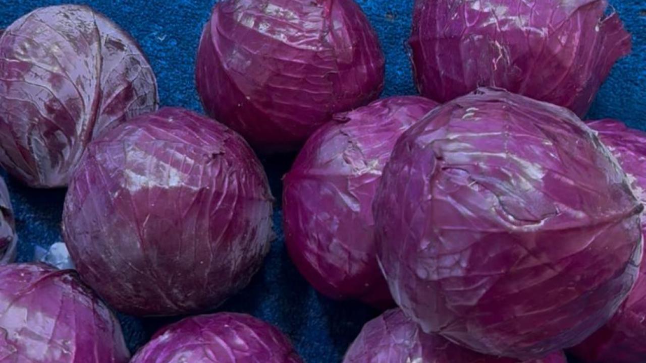 Karalahananın fiyatı 15 günde yarı yarıya ucuzladı