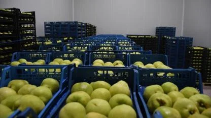 Kestel'e 400 milyon liralık yatırımla meyve tesisi kuruluyor