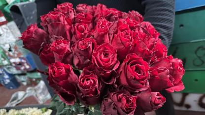 Kırmızı gülü yağış vurdu; Kenya ve Uganda gülleri revaçta