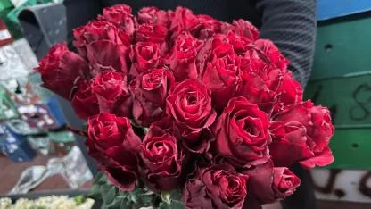 Kırmızı gülü yağış vurdu; Kenya ve Uganda gülleri revaçta