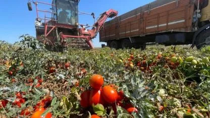 Meclis'te çiftçilerden gelen mektupları okudu