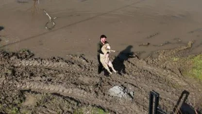 Meriç Nehri taştı tarım alanları su altında kaldı