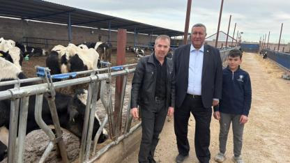 Şap hastalığına 20 büyükbaşını veren Niğdeli üretici dertli