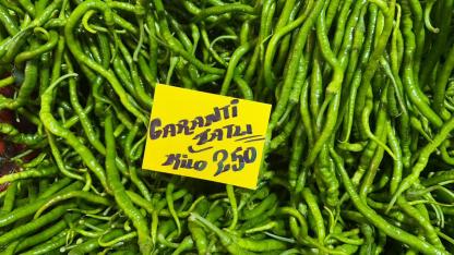 Sivri biber 250 lira, salatalık 180 liraya çıktı