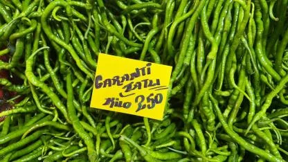 Sivri biber 250 lira, salatalık 180 liraya çıktı