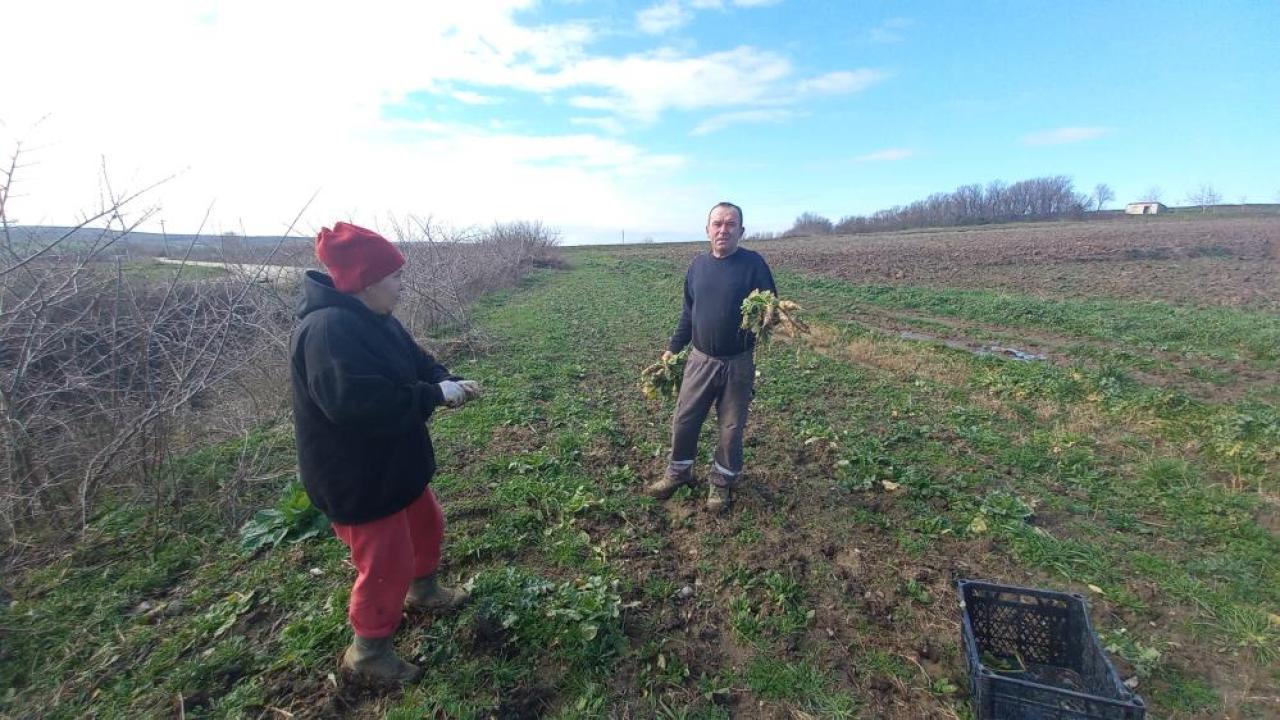 Tarımda üretici enflasyonu aylık yüzde 8,46 arttı