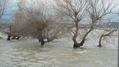 Uluabat Gölü'nde 10 yıldır görülmeyen oldu