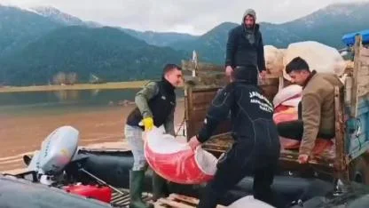 Yaylada mahsur kalan 550 hayvana botla yem götürüldü