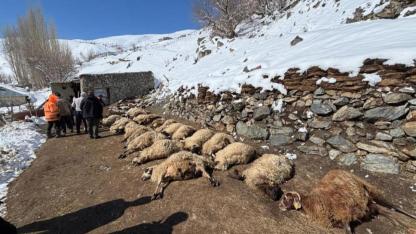 Ahırda feci yangın: 67 küçükbaş ve bir inek telef oldu