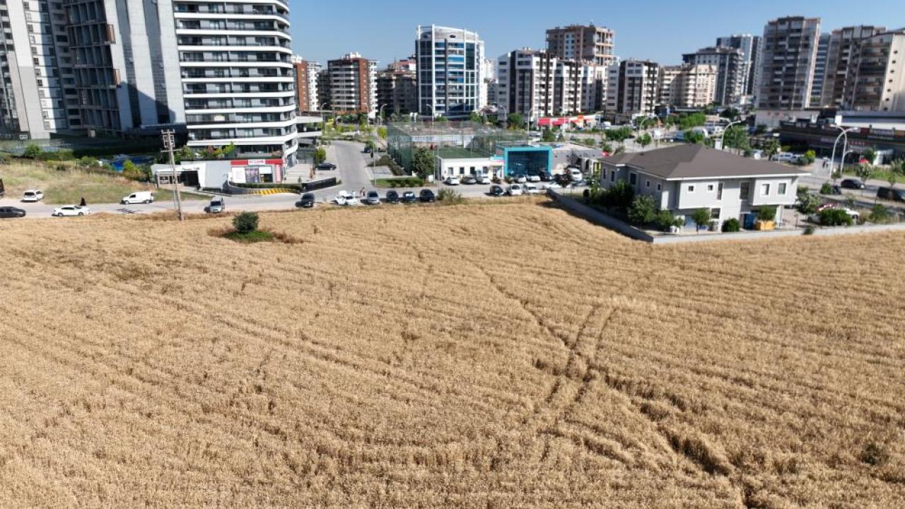 Betonda büyüdük tarımda küçüldük