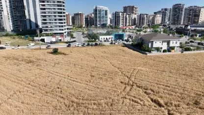 Betonda büyüdük tarımda küçüldük