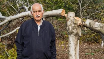 Bir gecede katledilen 30 ceviz ağacı yerine 50 fidan dikildi