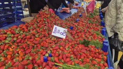 Bursa'da 440 lira; "Bursa" etiketiyle Tekirdağ'da 80 lira