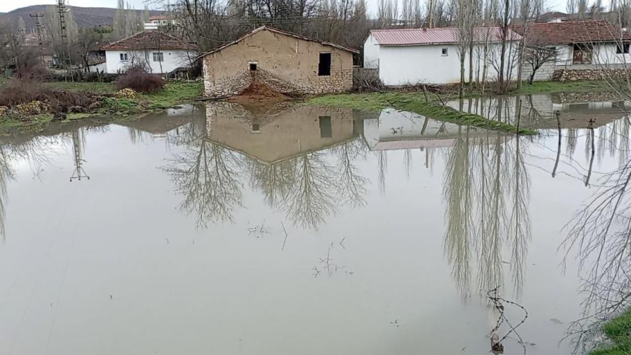 Çekerek Irmağı taştı: Şeker pancarı üreticisi çaresiz