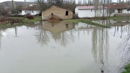 Çekerek Irmağı taştı: Şeker pancarı üreticisi çaresiz