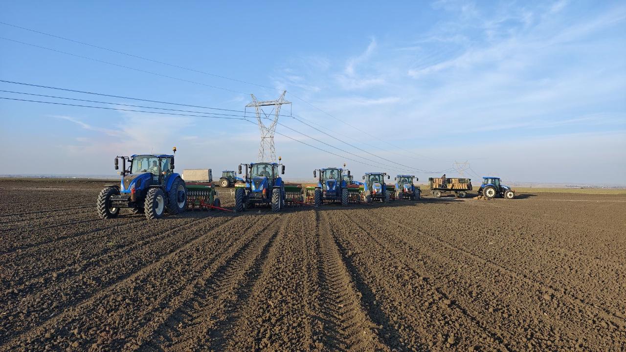 Ceylanpınar Tarım İşletmesinde dane mısır ekimi tamamlandı