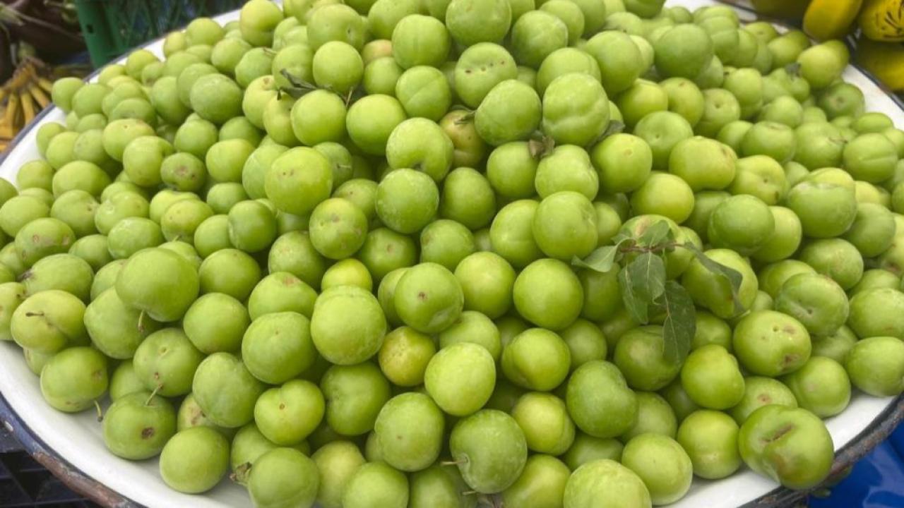 CHP'li Gürer: "Emekli maaşıyla 2 kilo erik alınabiliyor"