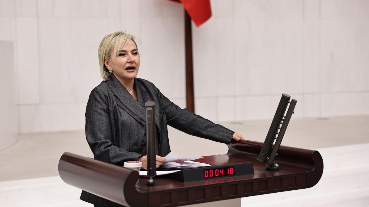 CHP'li Özdemir: "Toplanan her üç hayvandan biri öldü"