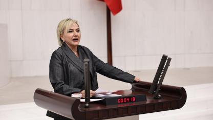 CHP'li Özdemir: "Toplanan her üç hayvandan biri öldü"