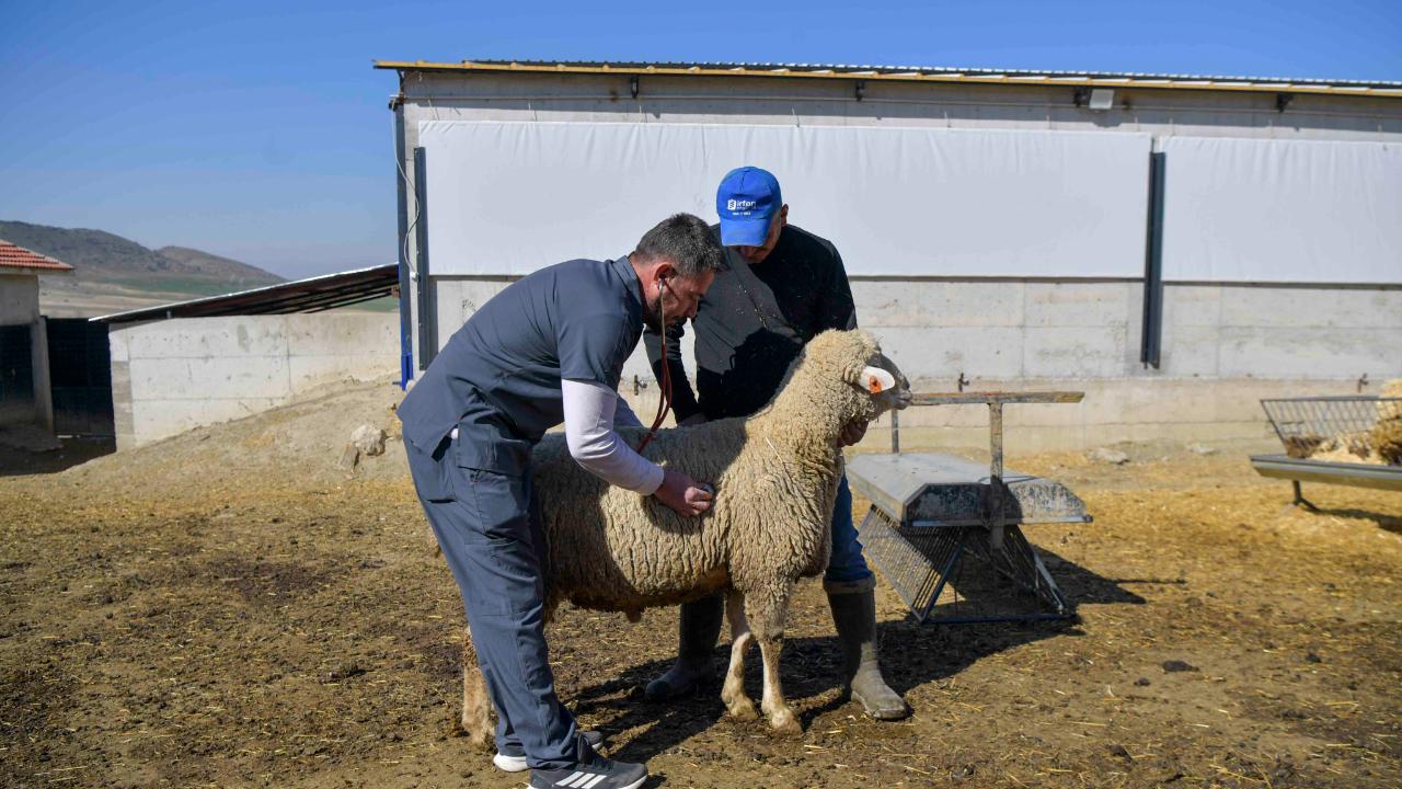 Çiftçinin maliyet yükündeki artış hız kesmiyor