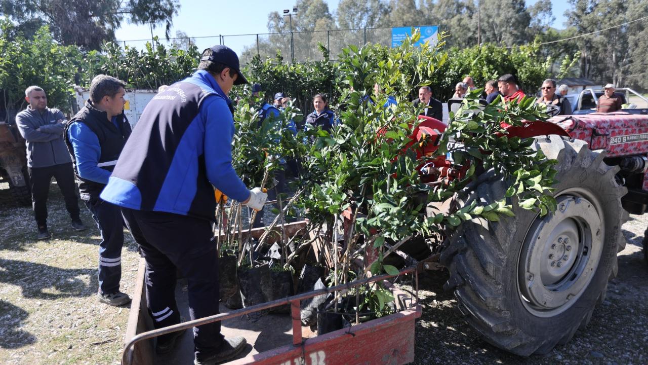 Dondan zarar gören Köyceğiz üreticilerine fidan desteği