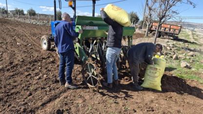 Gaziantep'te nohut ekim sezonu gecikmeyle açıldı