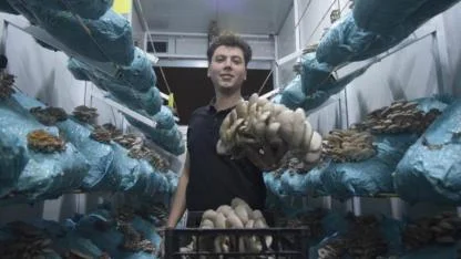 Genç avukat mantar üretiminde başarı hikayesi yazdı