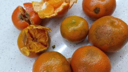 Gıdada kişi başına kayıpta ABD ve Avrupa'nın önündeyiz