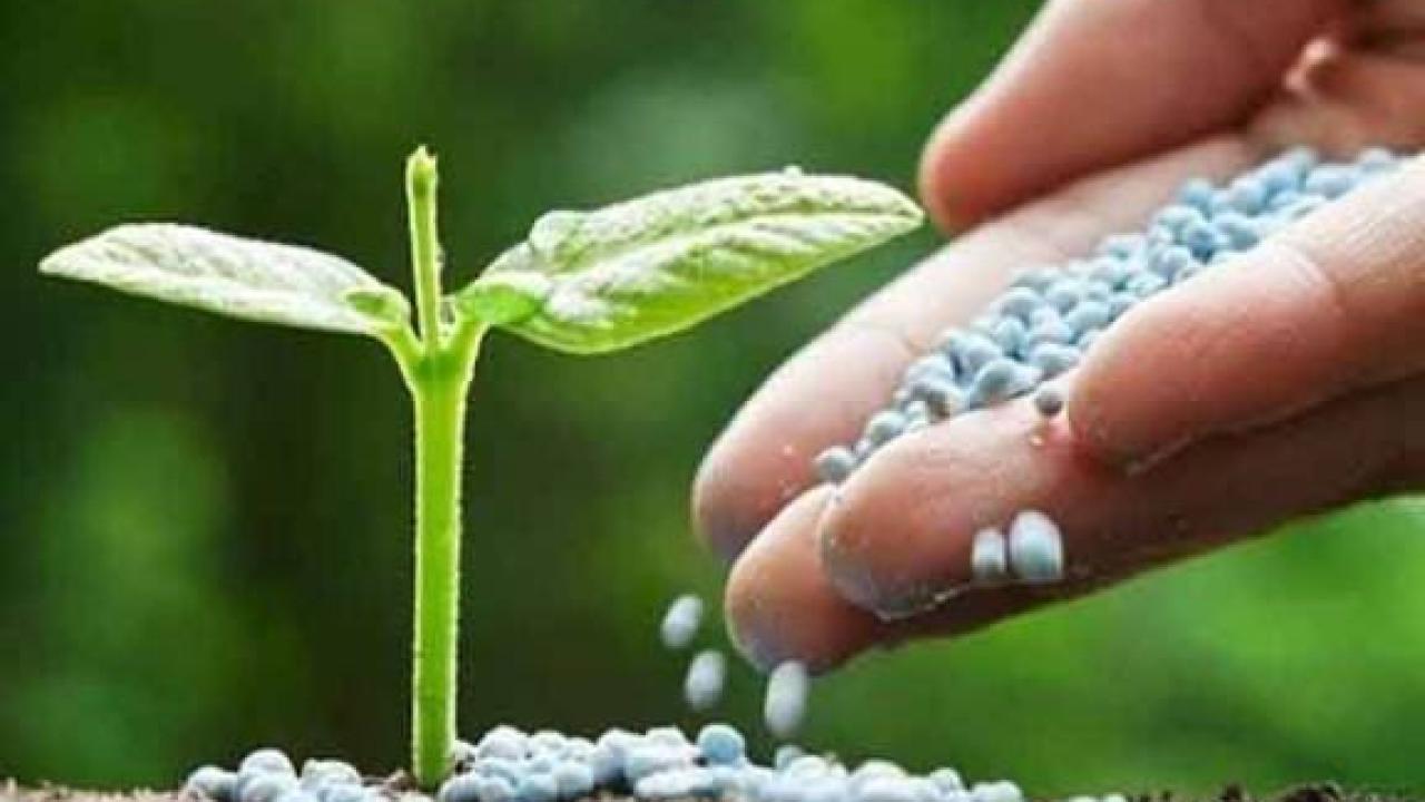 Gübre ithalatında gümrük vergisi geç de olsa sıfırlandı